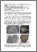 [thumbnail of art23.pdf]